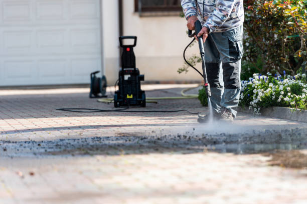 Best Exterior Home Cleaning  in Town N Country, FL