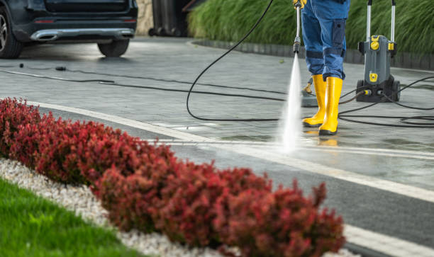 Best Commercial Building Pressure Washing  in Town N Country, FL