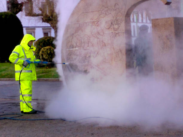 Best Pressure Washing Near Me  in Town N Country, FL