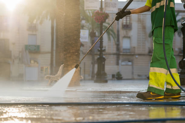 Best Roof Pressure Washing  in Town N Country, FL