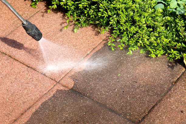 Best Roof Power Washing Services  in Town N Country, FL