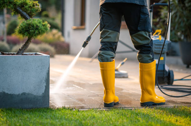 Best Residential Pressure Washing Services  in Town N Country, FL